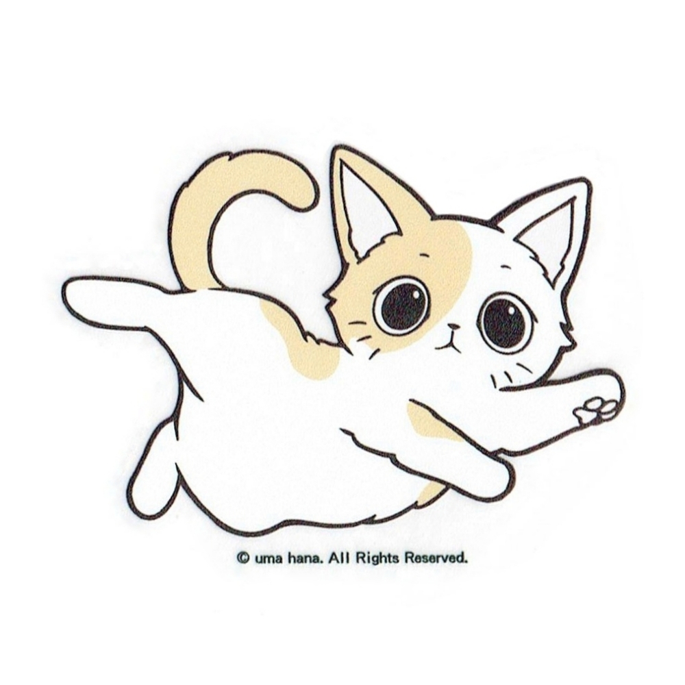 Waterproof Cat Sticker Decal Die Cut